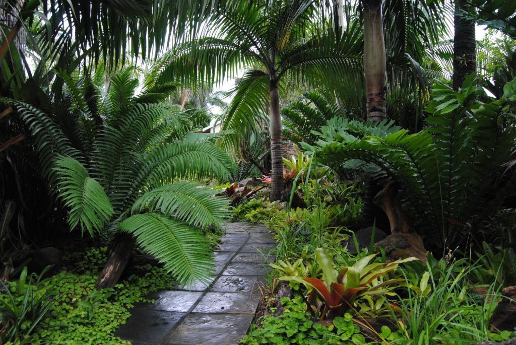 Buya Futhi Bed & Breakfast Saint Lucia Estuary Eksteriør bilde